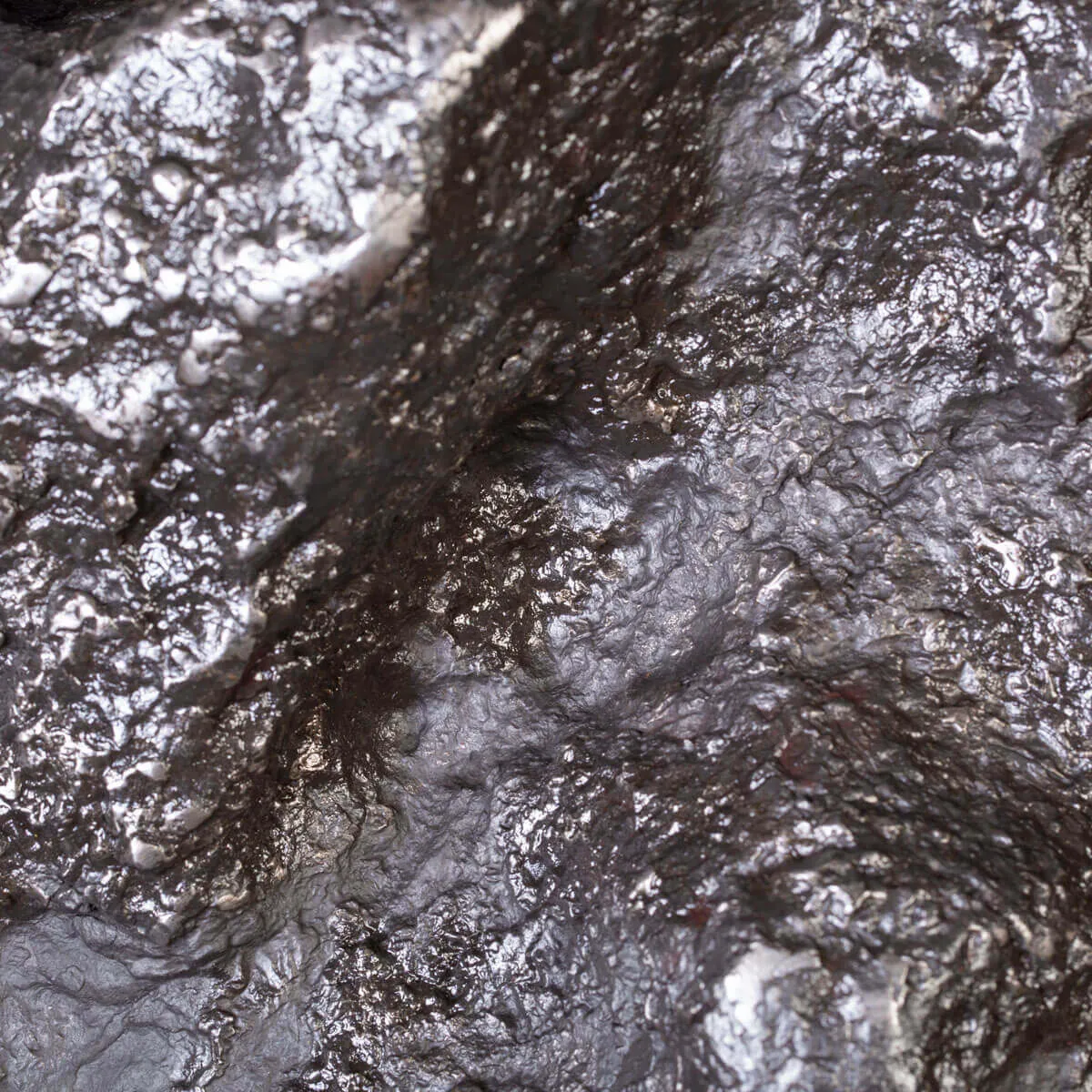 L'Epopea di un Meteorite Campo del Cielo - Viaggio Cosmico