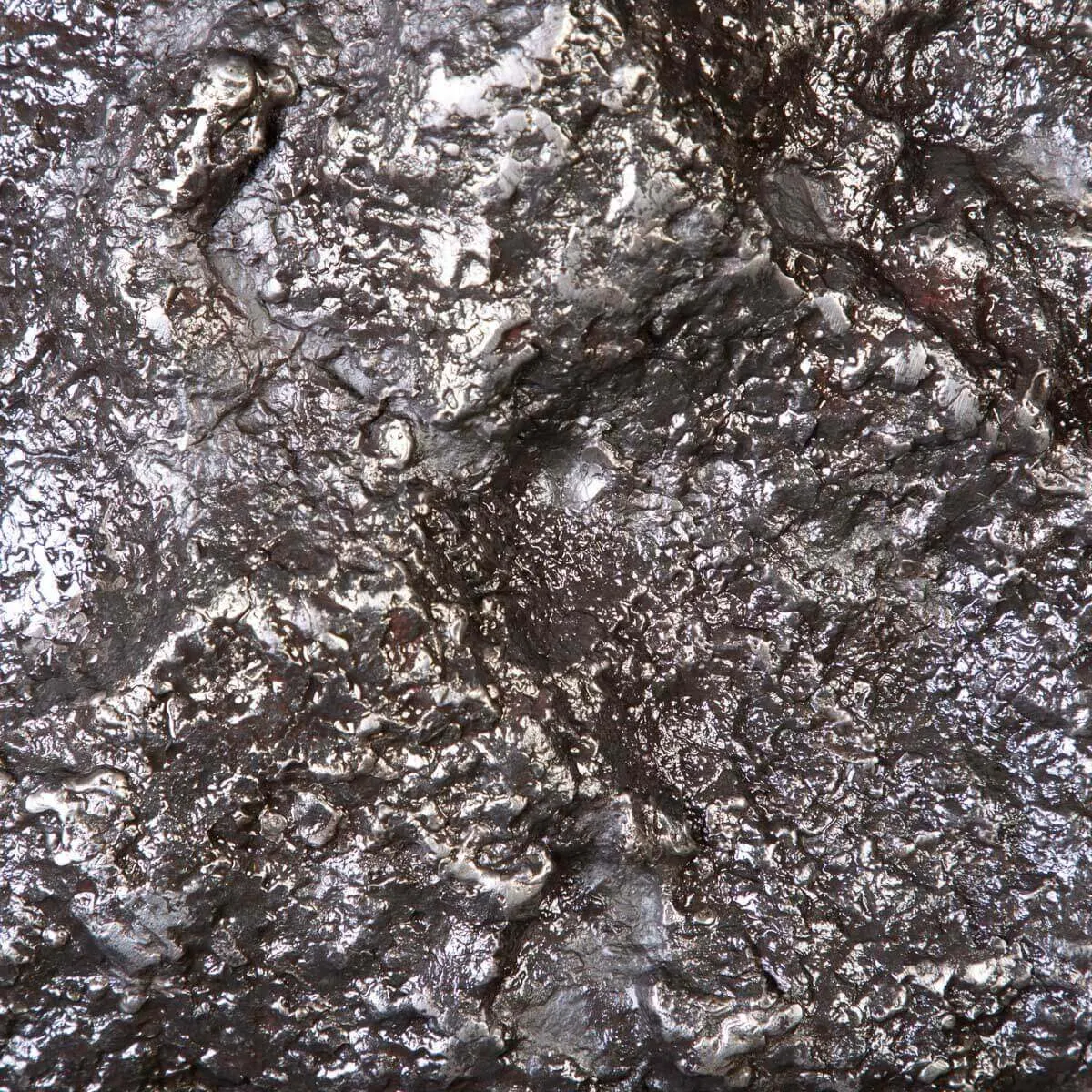 L'Epopea di un Meteorite Campo del Cielo - Viaggio Cosmico