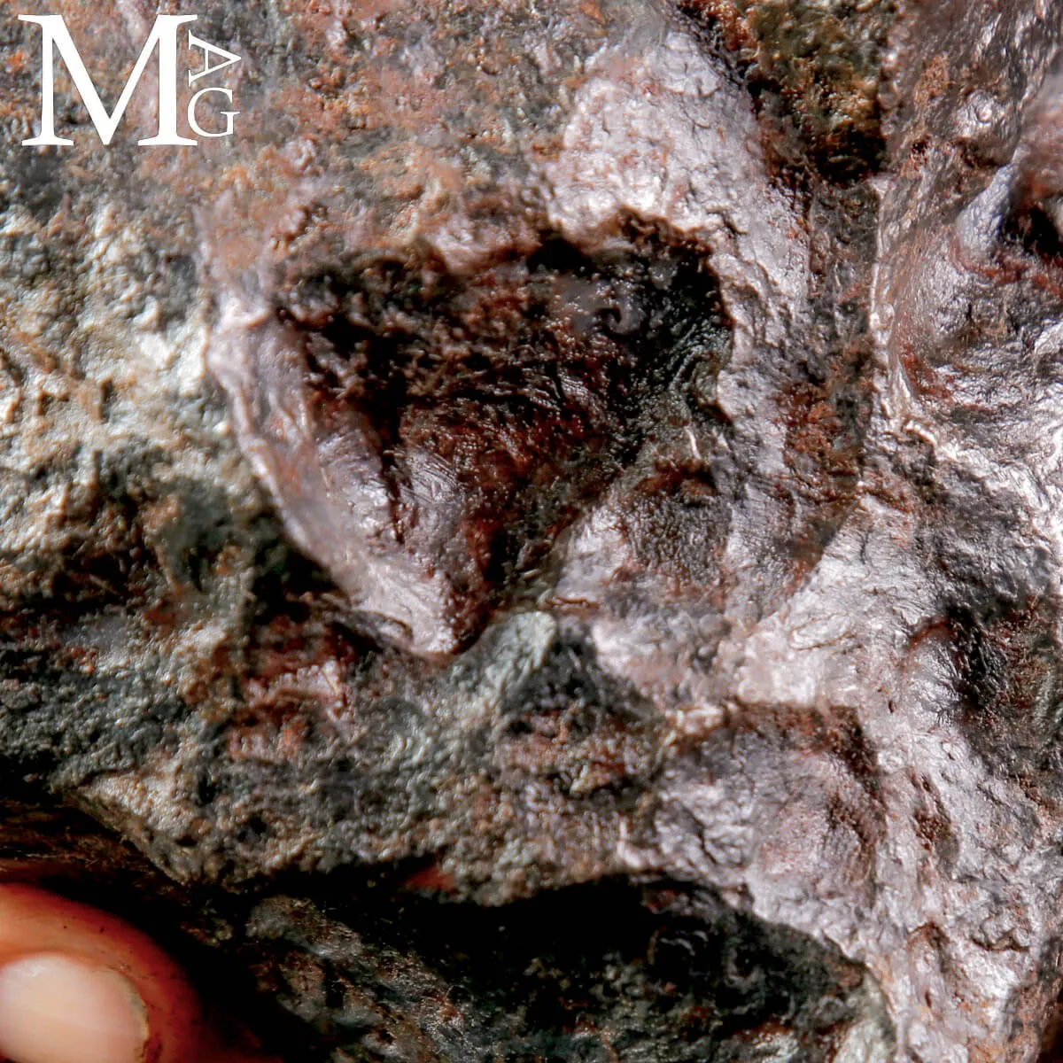 Meteorite Campo del Cielo – Frammento di Stelle Cadute