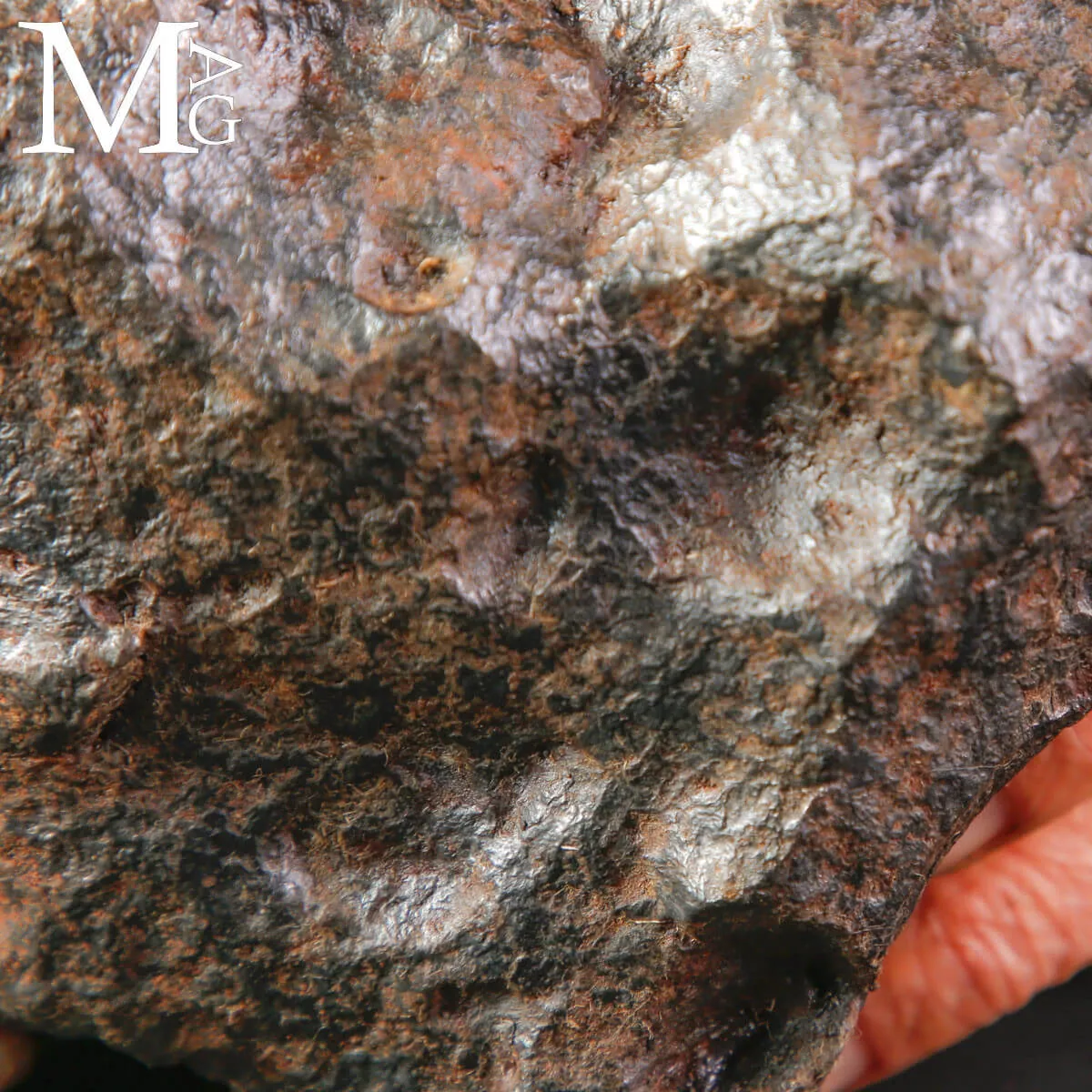 Meteorite Campo del Cielo – Frammento di Stelle Cadute
