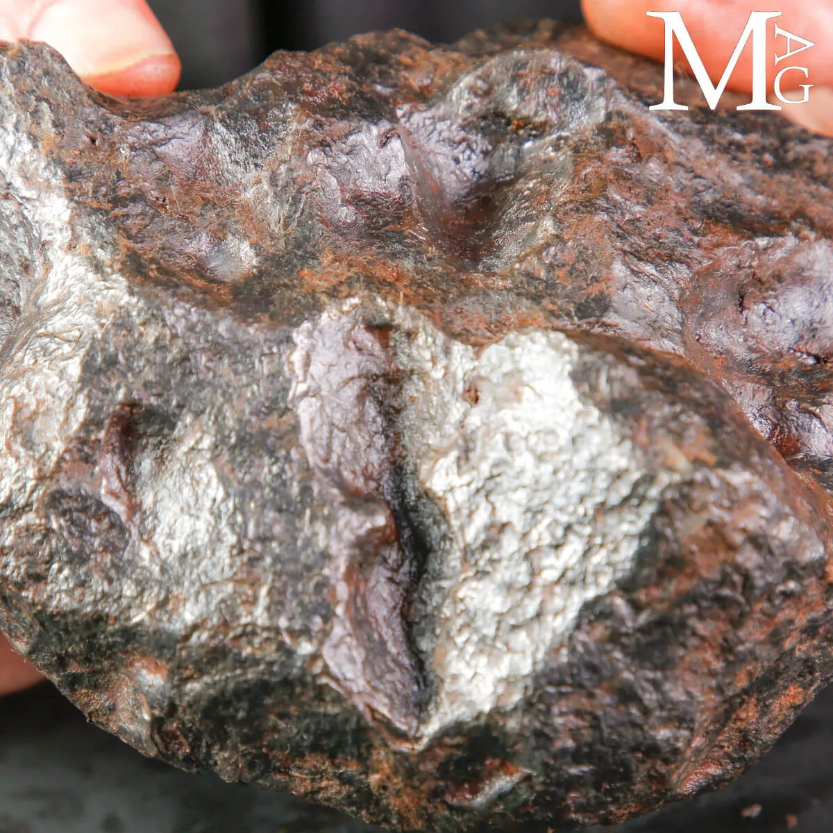 Meteorite Campo del Cielo – Frammento di Stelle Cadute