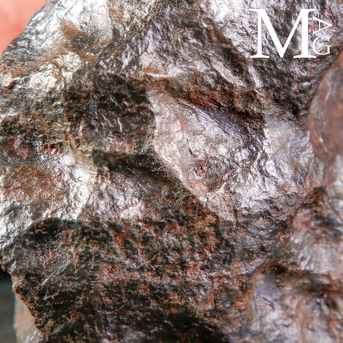 Meteorite Campo del Cielo – Il Viaggiatore del Cosmo