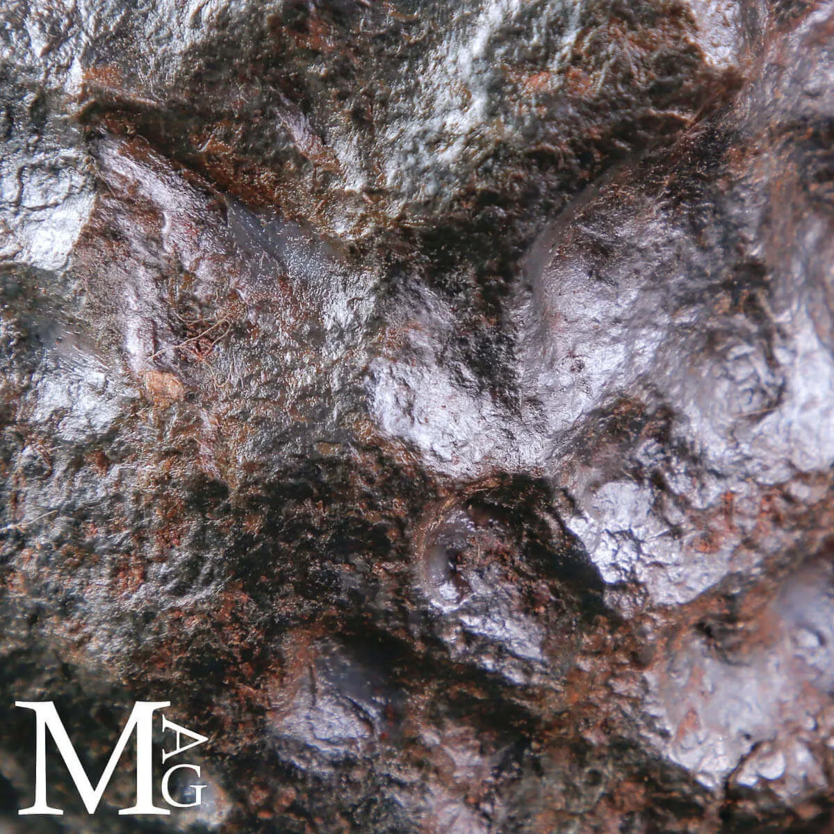 Meteorite Campo del Cielo – Il Viaggiatore del Cosmo
