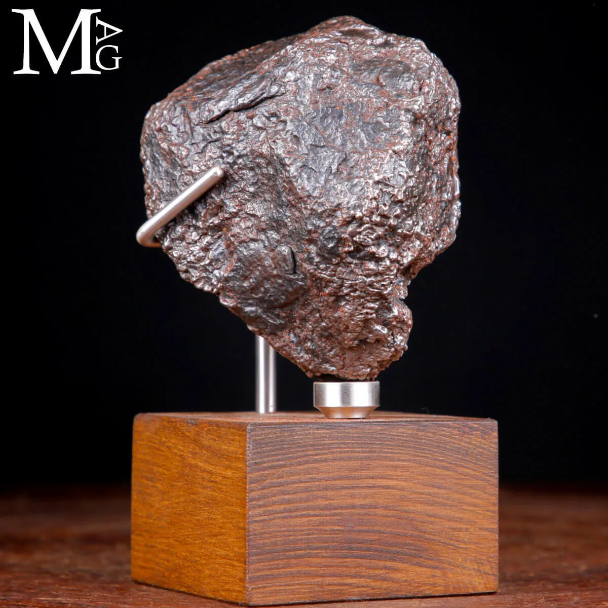 Meteorite Campo del Cielo – Scultura Cosmica su Base d’Autore