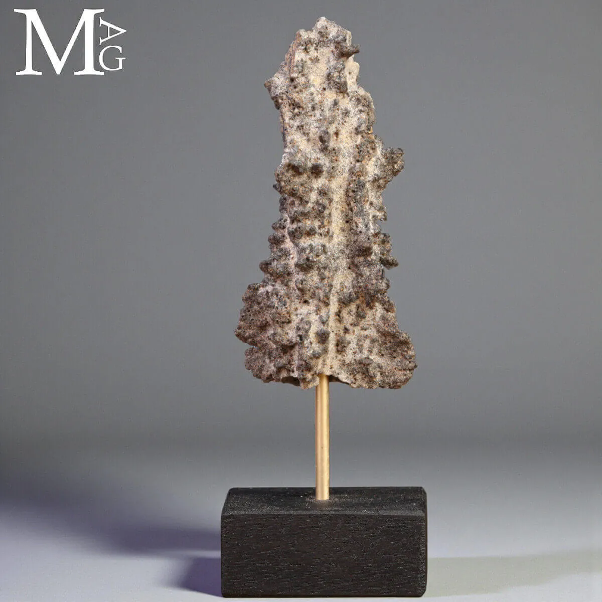 Fulgorite — Un frammento di fulmine pietrificato.