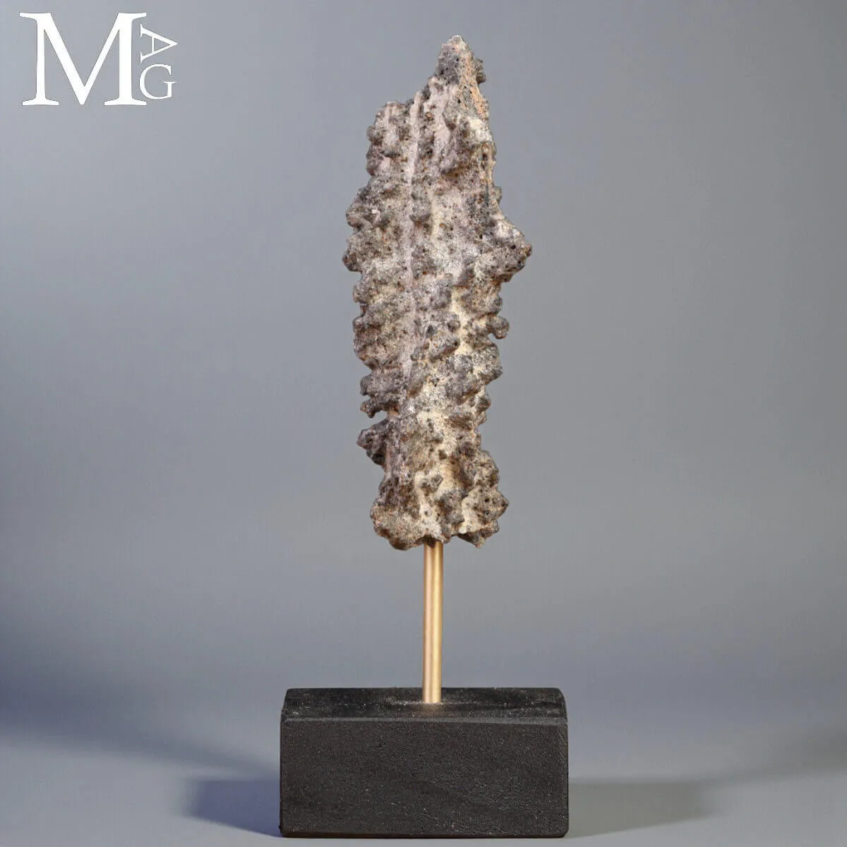 Fulgorite — Un frammento di fulmine pietrificato.