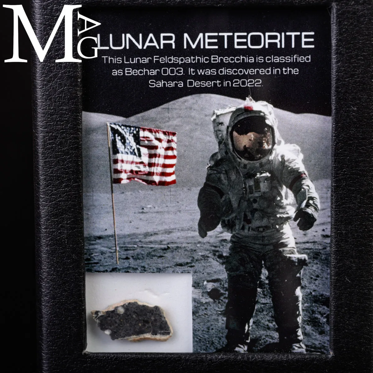 Meteorite Lunare Bechar 003 - Frammento della Luna