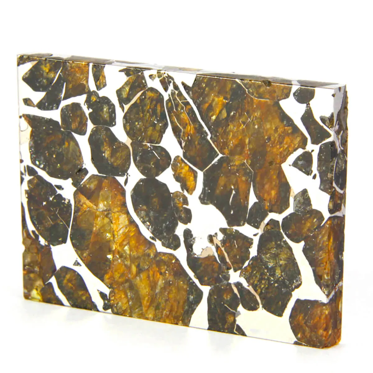 Pallasite Seymchan