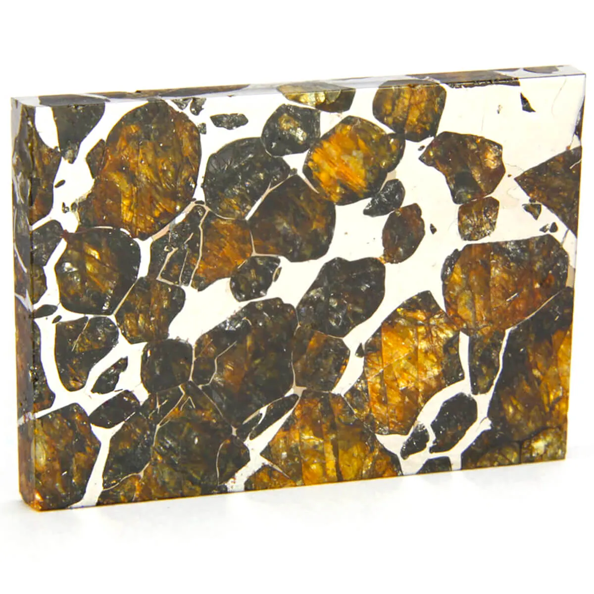 Pallasite Seymchan