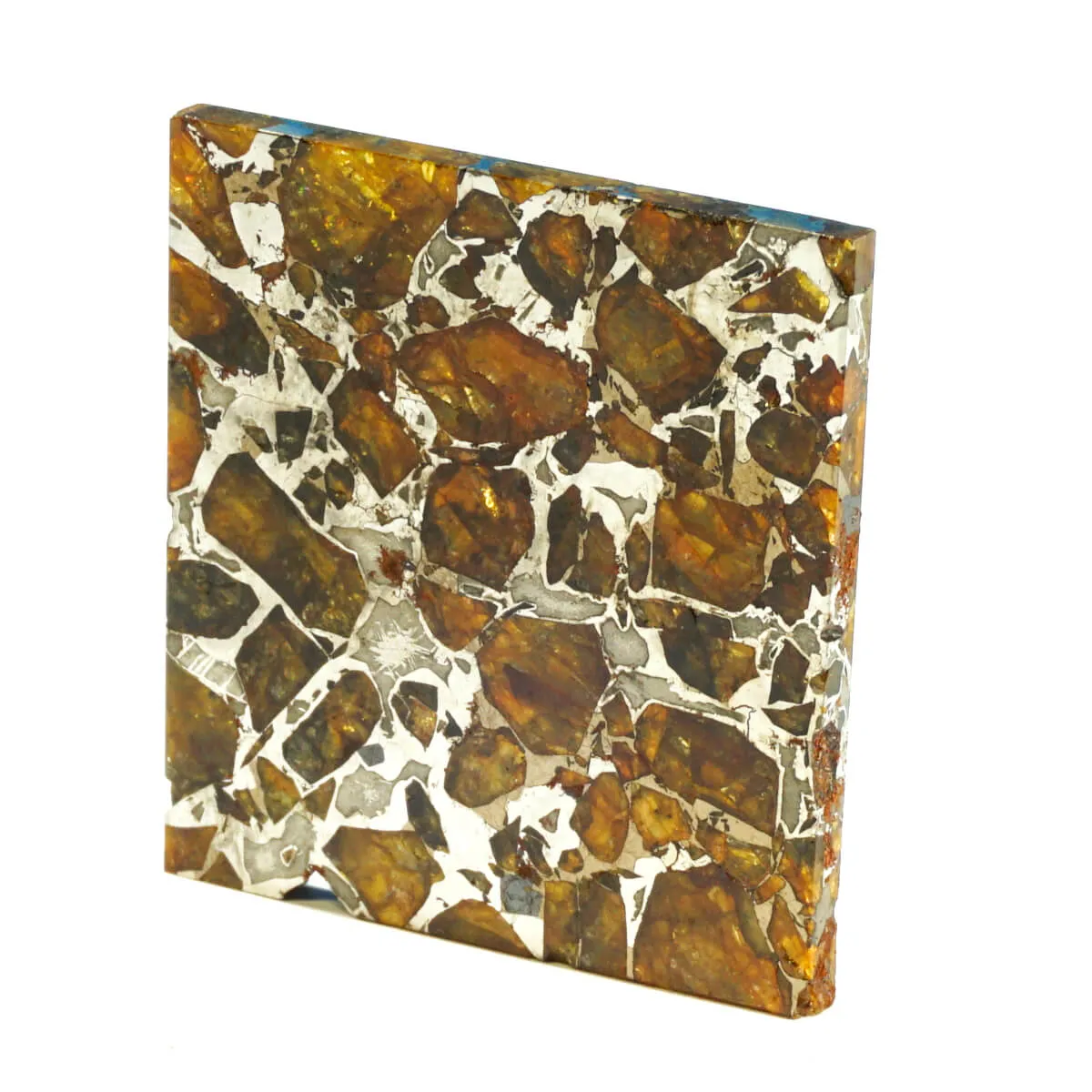 Pallasite Brahin