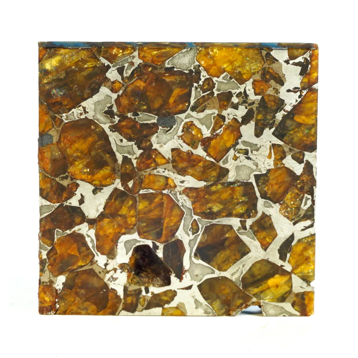 Pallasite Brahin