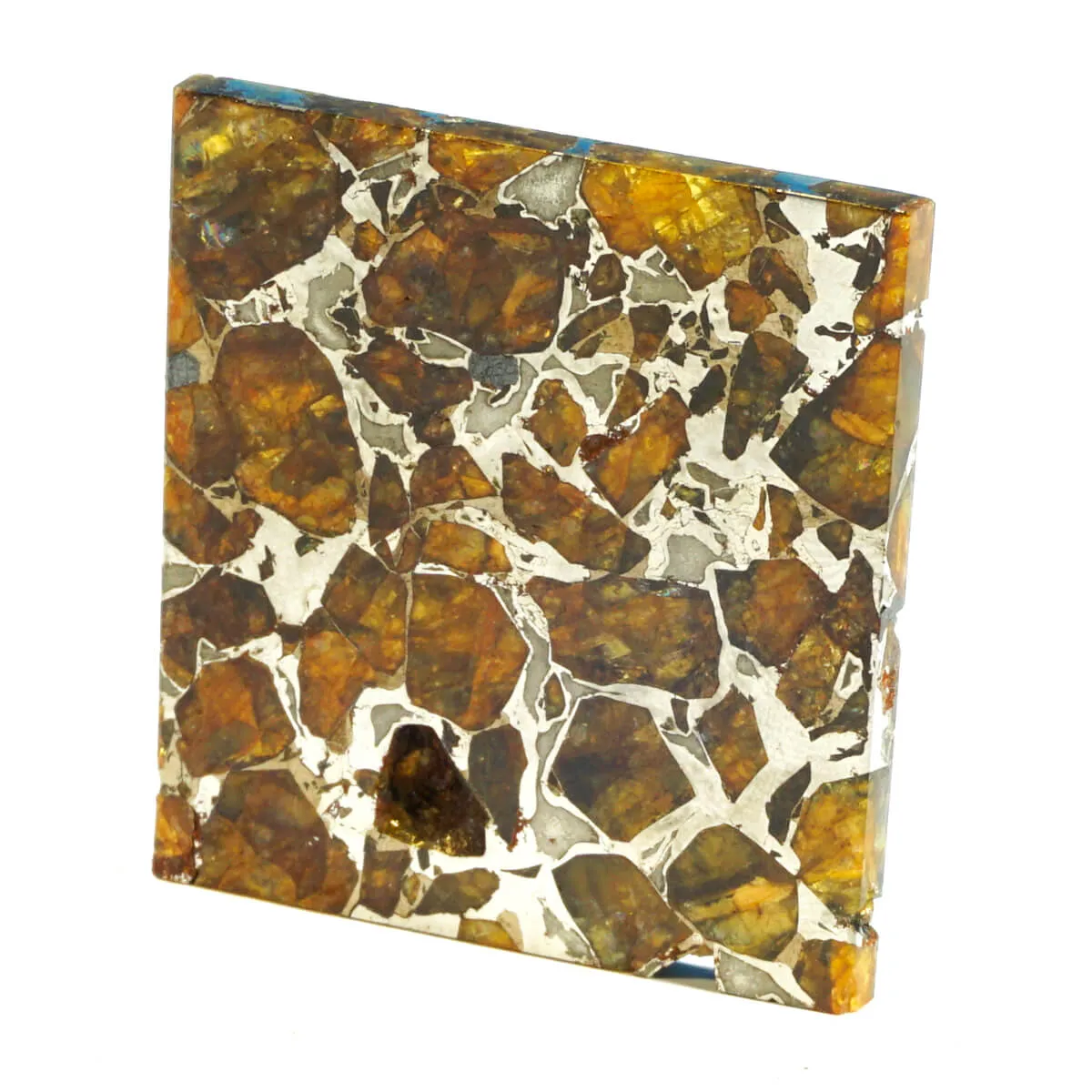 Pallasite Brahin