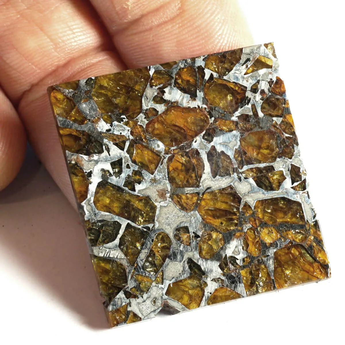 Pallasite Brahin