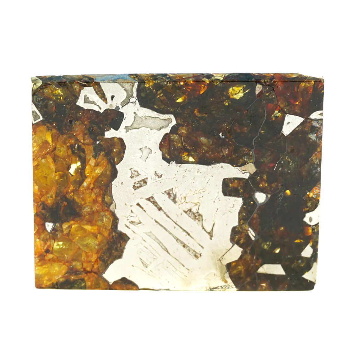 Pallasite Seymchan