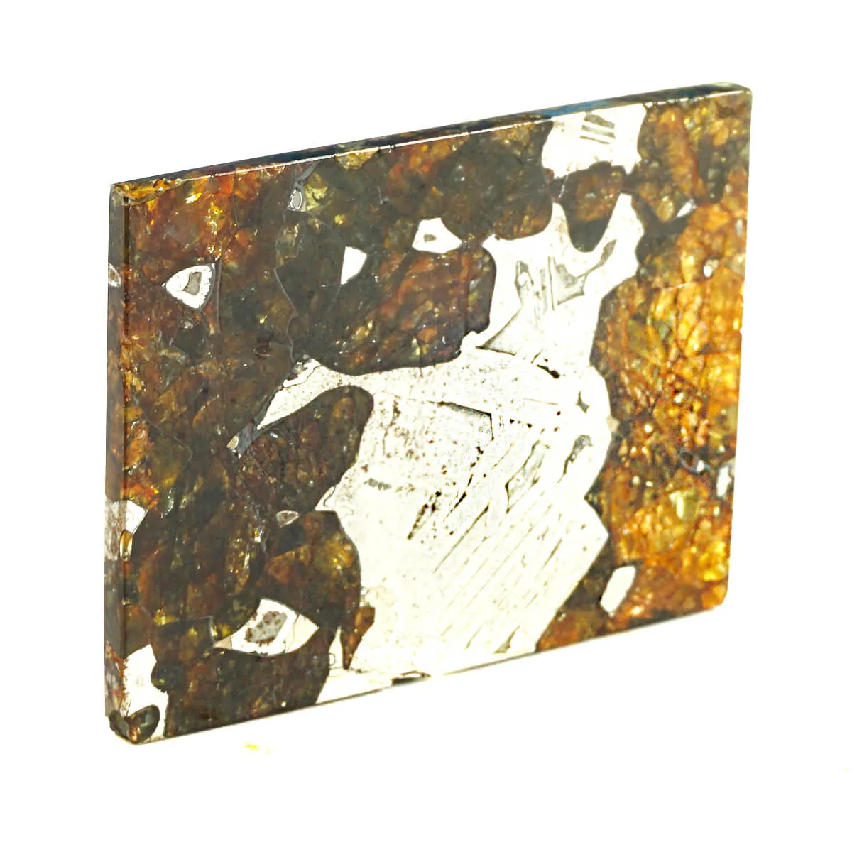Pallasite Seymchan