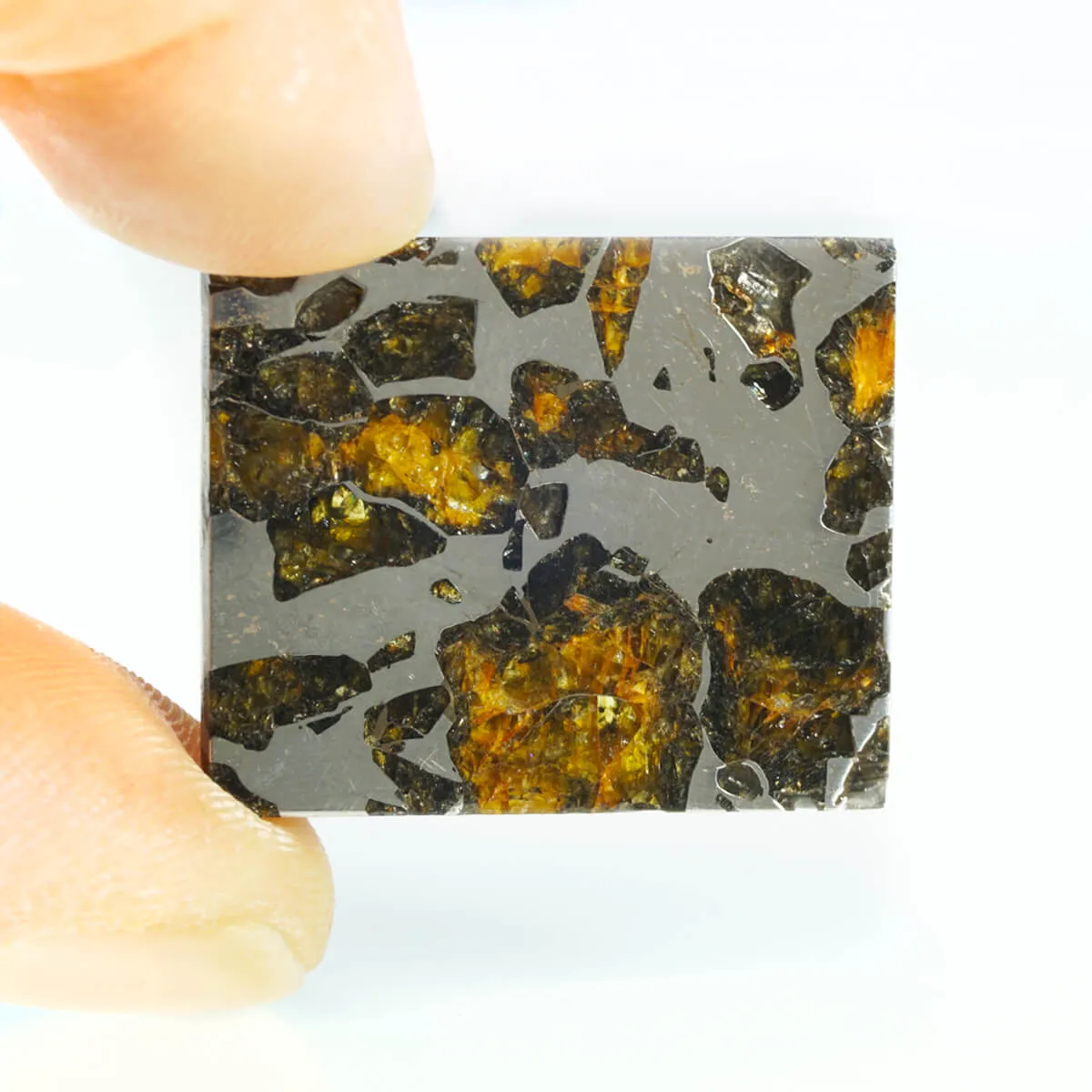 Pallasite Seymchan