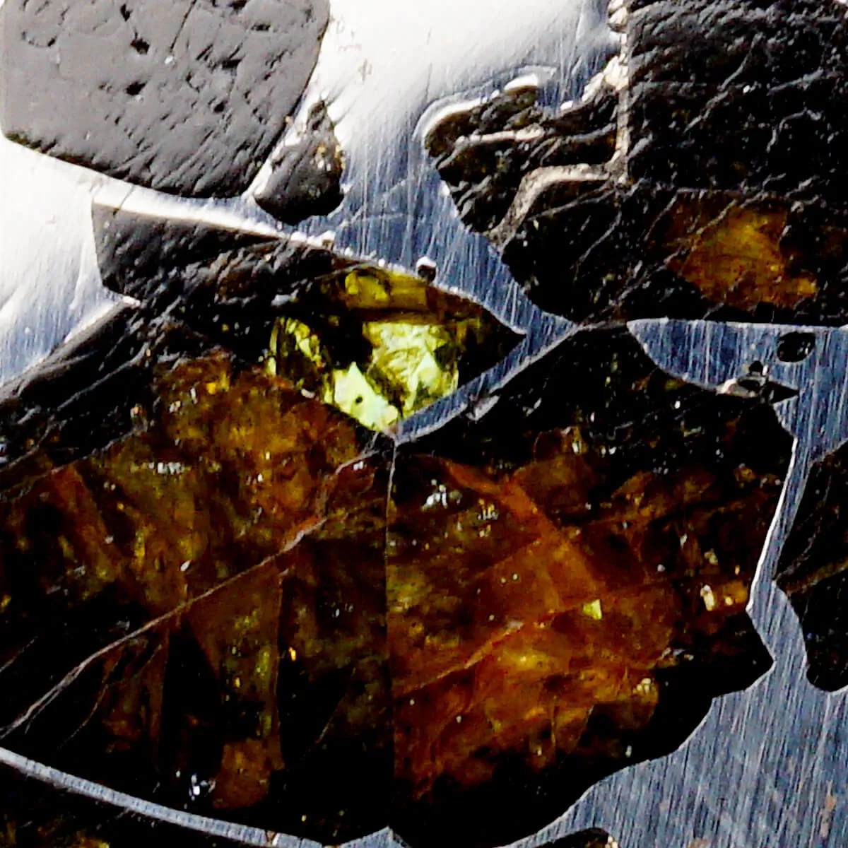 Pallasite Seymchan