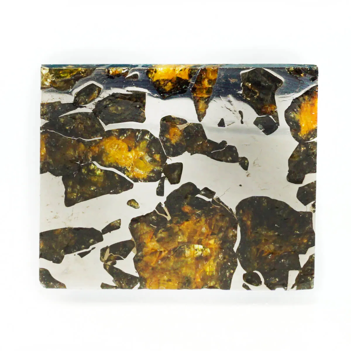 Pallasite Seymchan