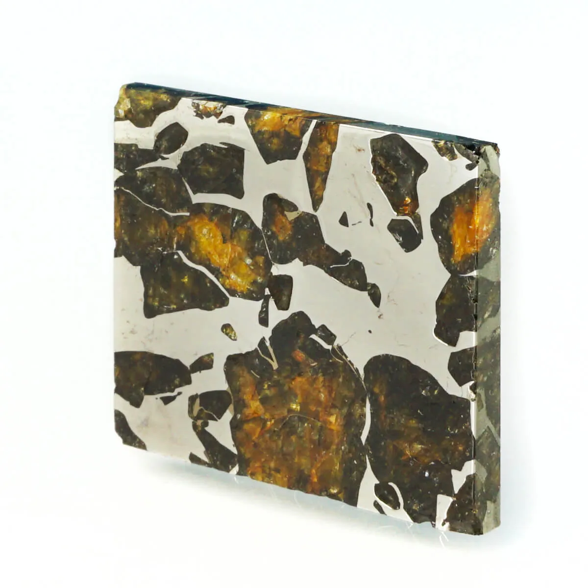 Pallasite Seymchan
