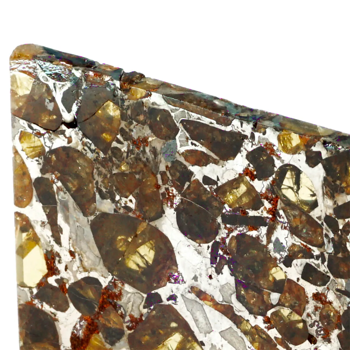 Pallasite Brahin