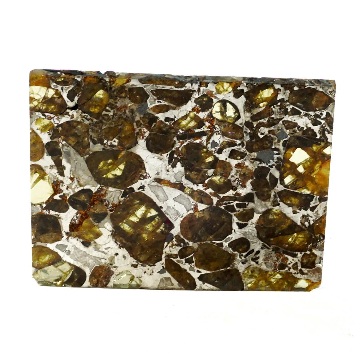 Pallasite Brahin