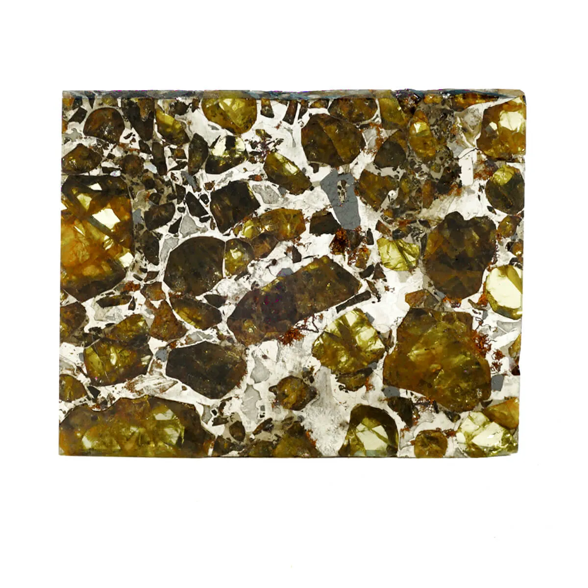 Pallasite Brahin