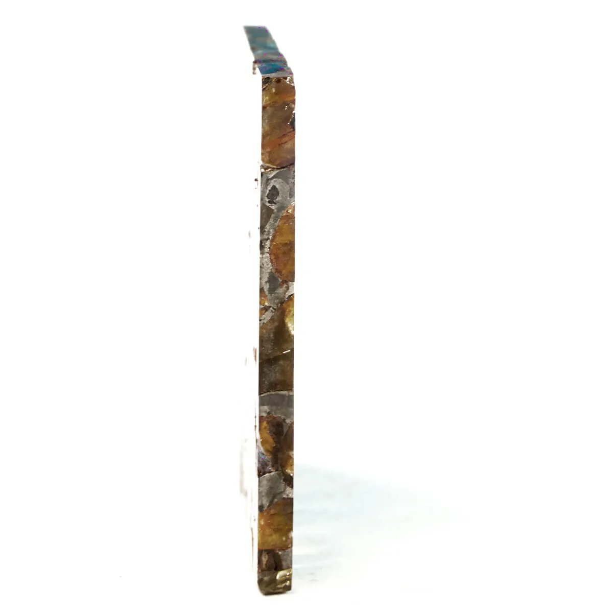 Pallasite Brahin