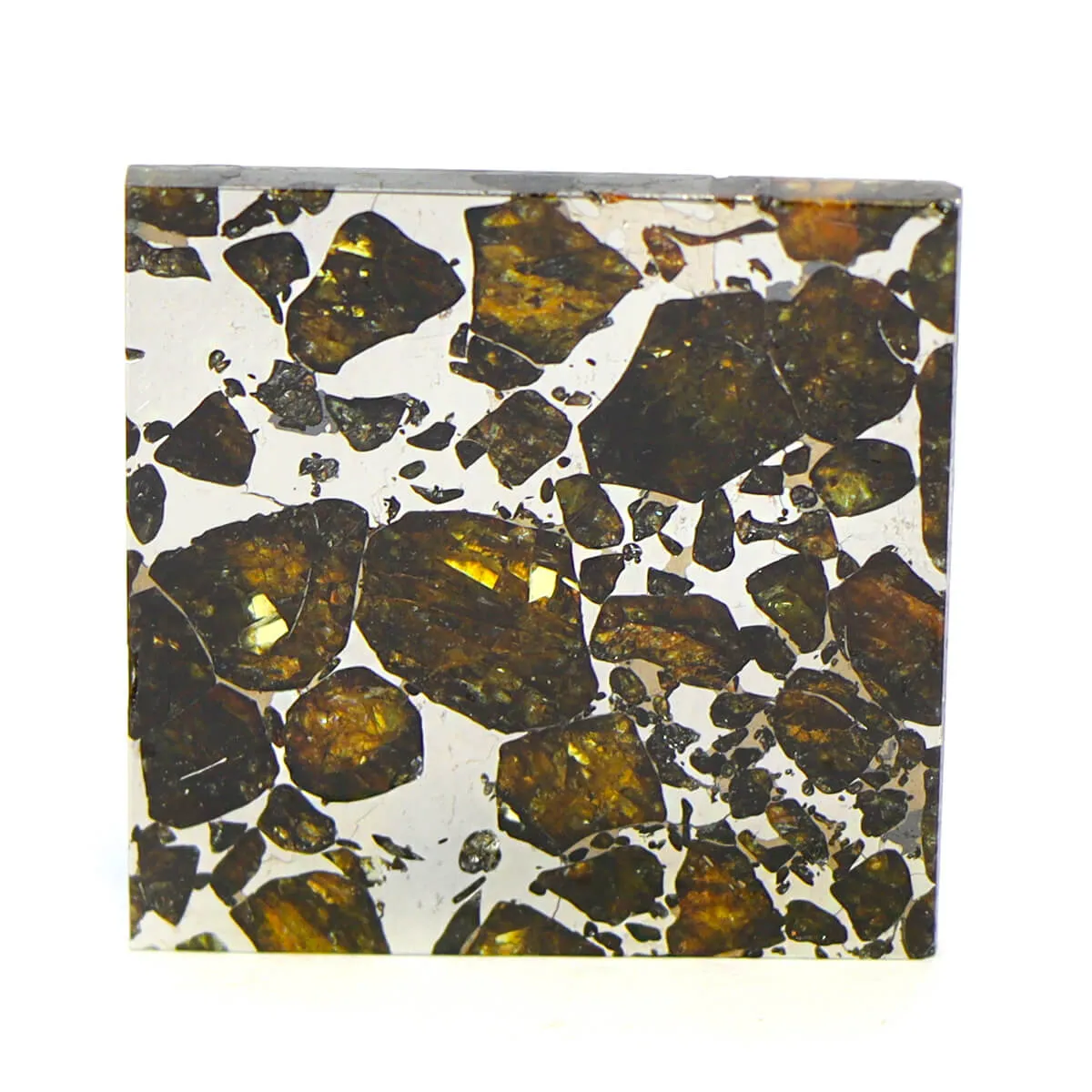 Pallasite Seymchan