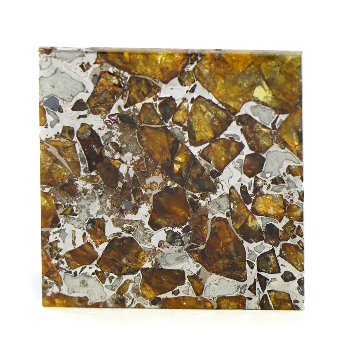 Pallasite Brahin