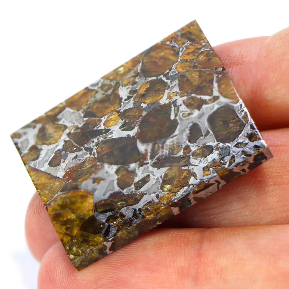 Pallasite Brahin