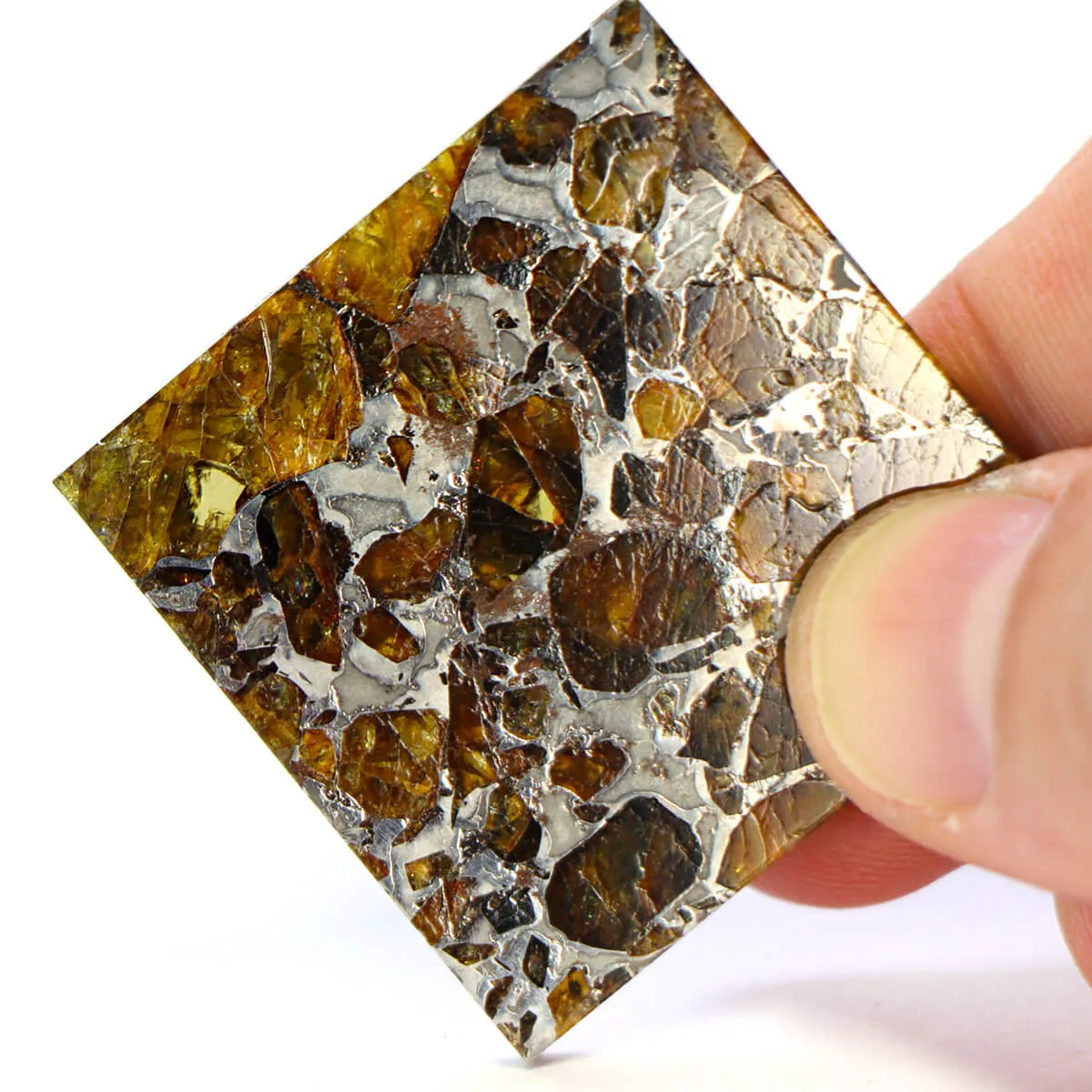 Pallasite Brahin