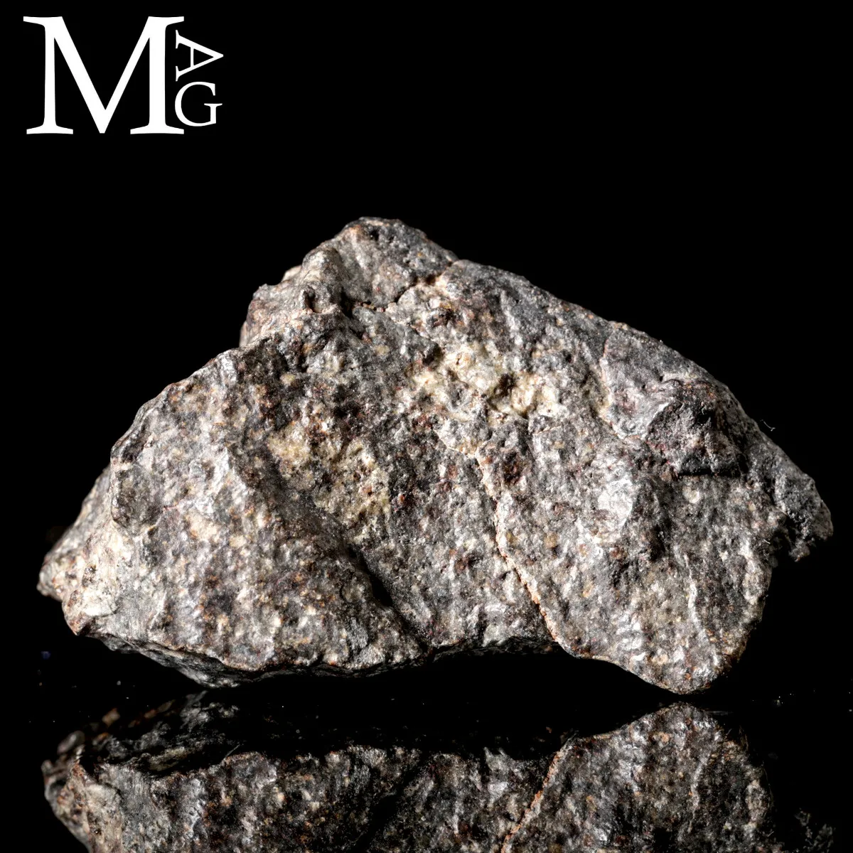 Meteorite NWA 869 - Condrite Ordinaria L3-6 del Nord-Ovest Africa