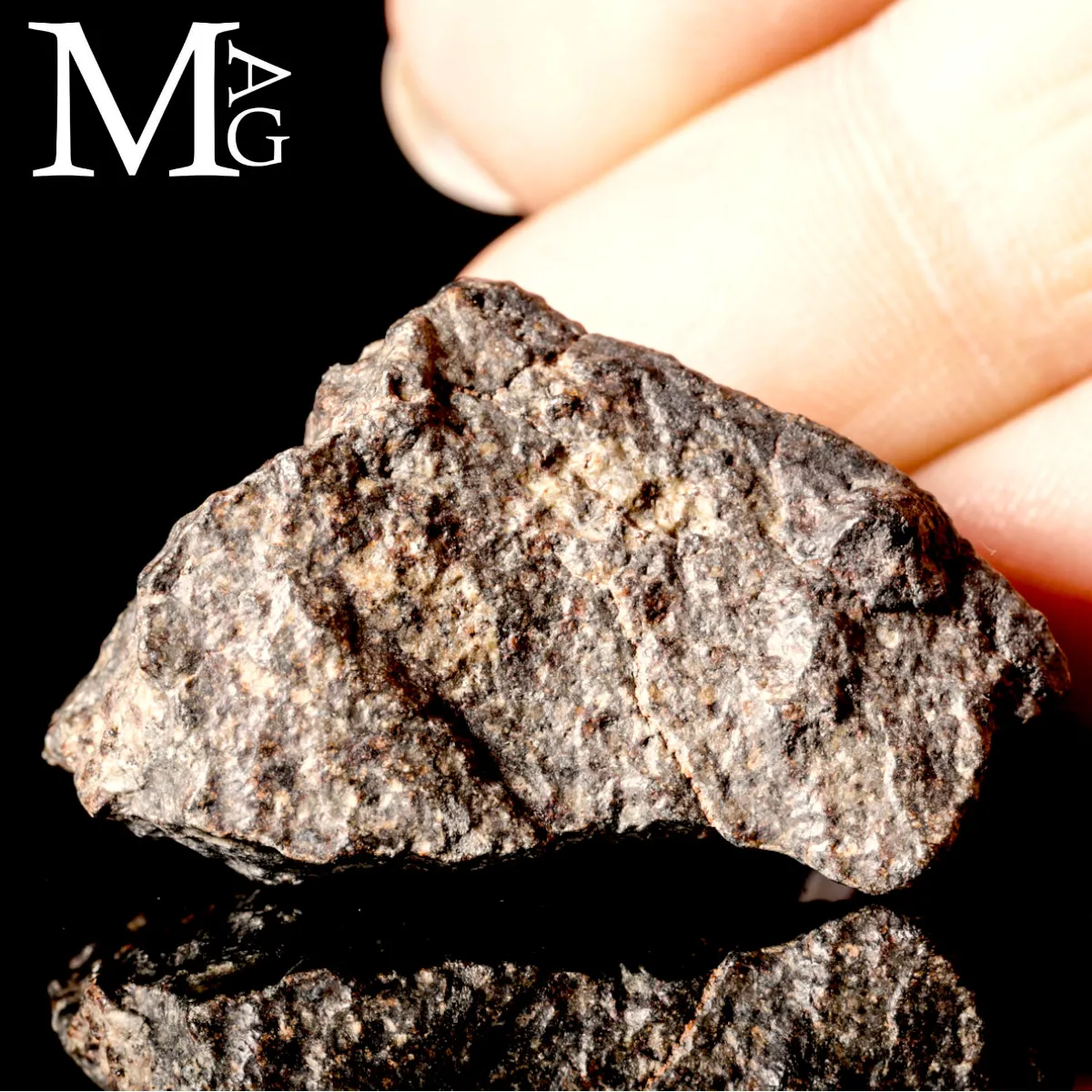 Meteorite NWA 869 - Condrite Ordinaria L3-6 del Nord-Ovest Africa