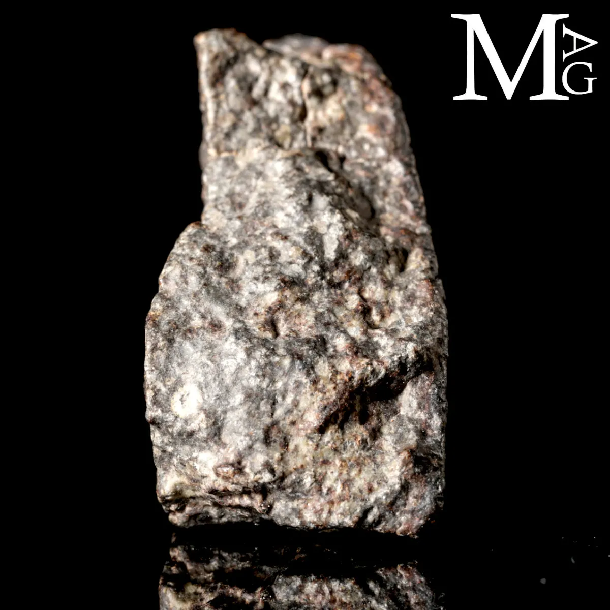 Meteorite NWA 869 - Condrite Ordinaria L3-6 del Nord-Ovest Africa