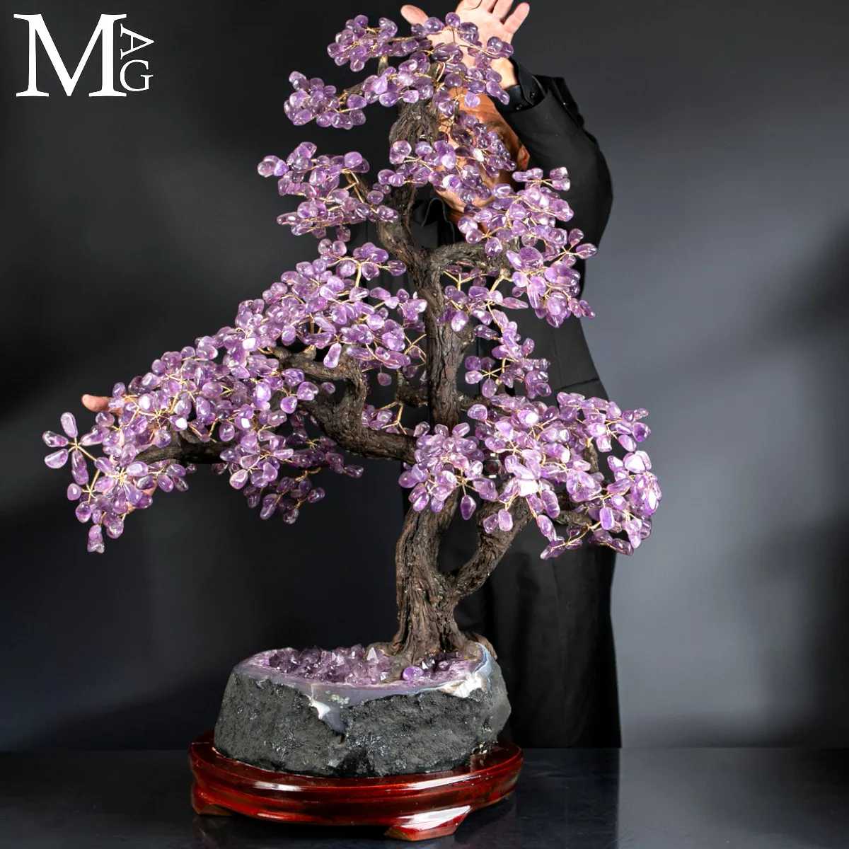 Albero Bonsai in Ametista su Drusa Naturale – Albero della Vita.