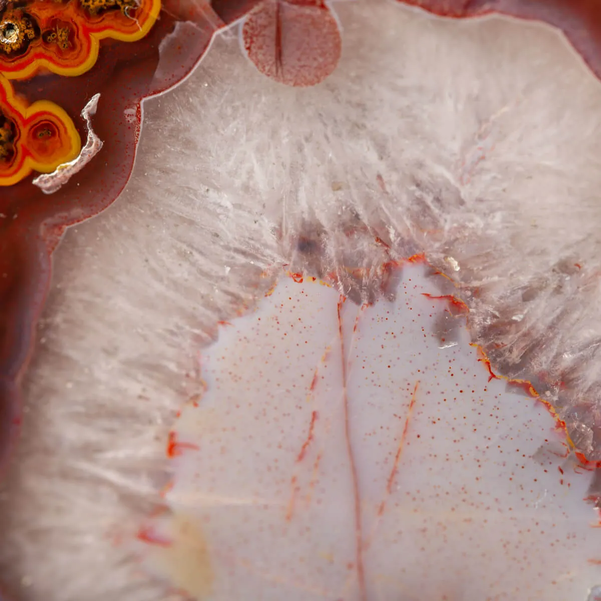 Geode Agata Rossa su base Decorativa