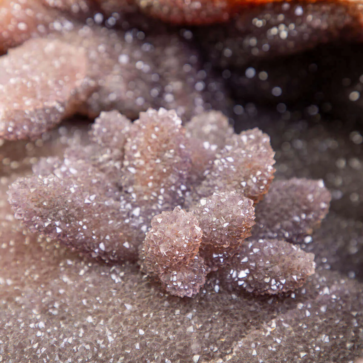 Esclusivo  Geode Agata "Scatola del Tesoro"