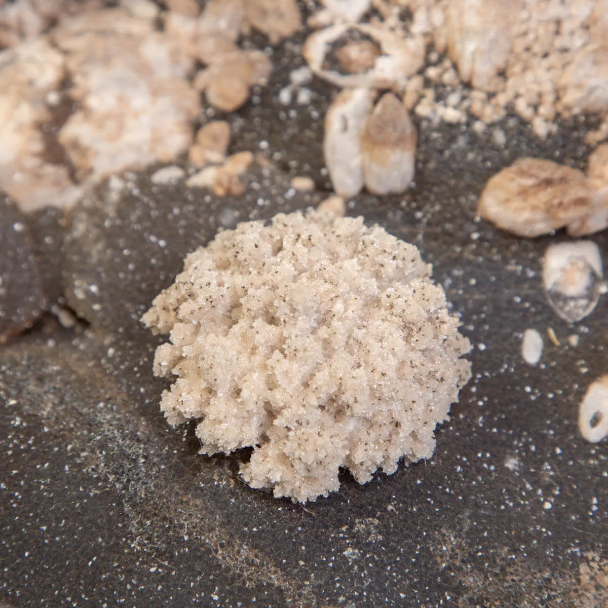 Bellissimo Geode Agata Sezionata " Jewelery Box"