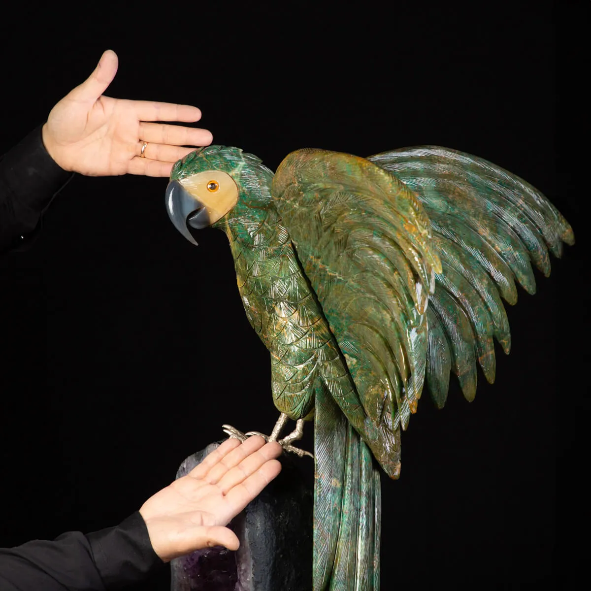 Bellissima Ara Verde su Drusa di Ametista.