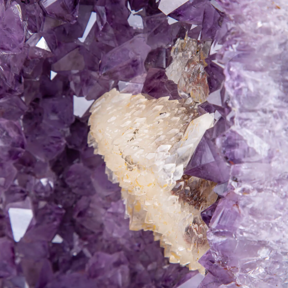 Geode di Ametista dal Brasile.