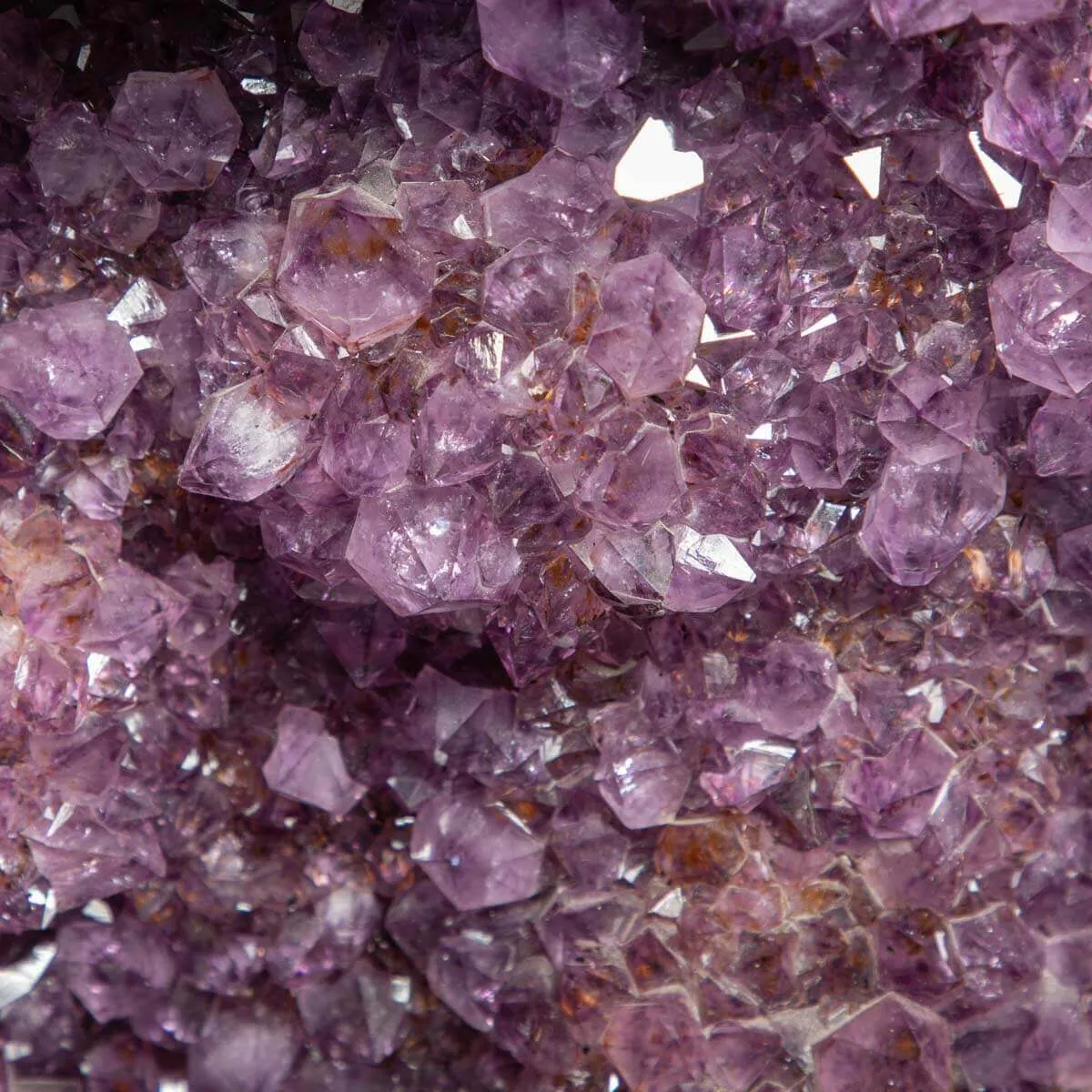 Particolare coppia di Ametiste - Geodi