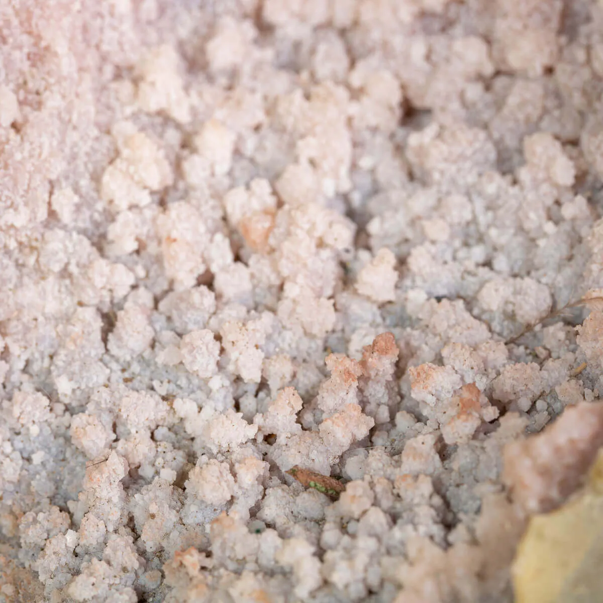 Particolarissimo Geode di Quarzo Ametista: Una Meraviglia Geologica a Doppia Formazione.