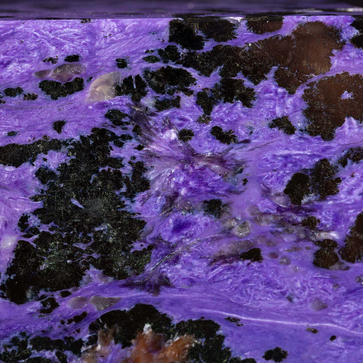 Straordinario Cubo in Charoite