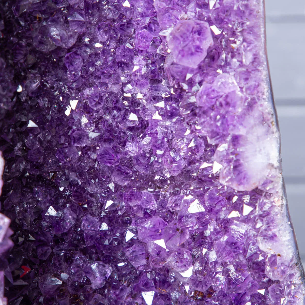 Geode di Ametista: Cristalli Viola Intenso.