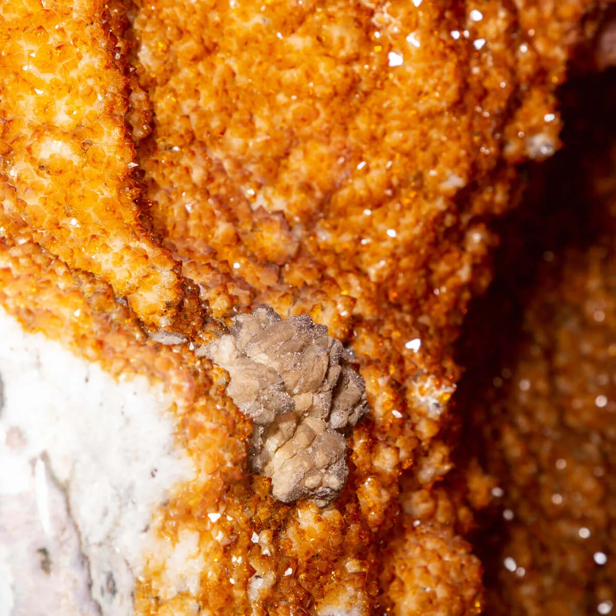Un Magnifico Geode di Quarzo Citrino dal Brasile - Un Capolavoro Unico
