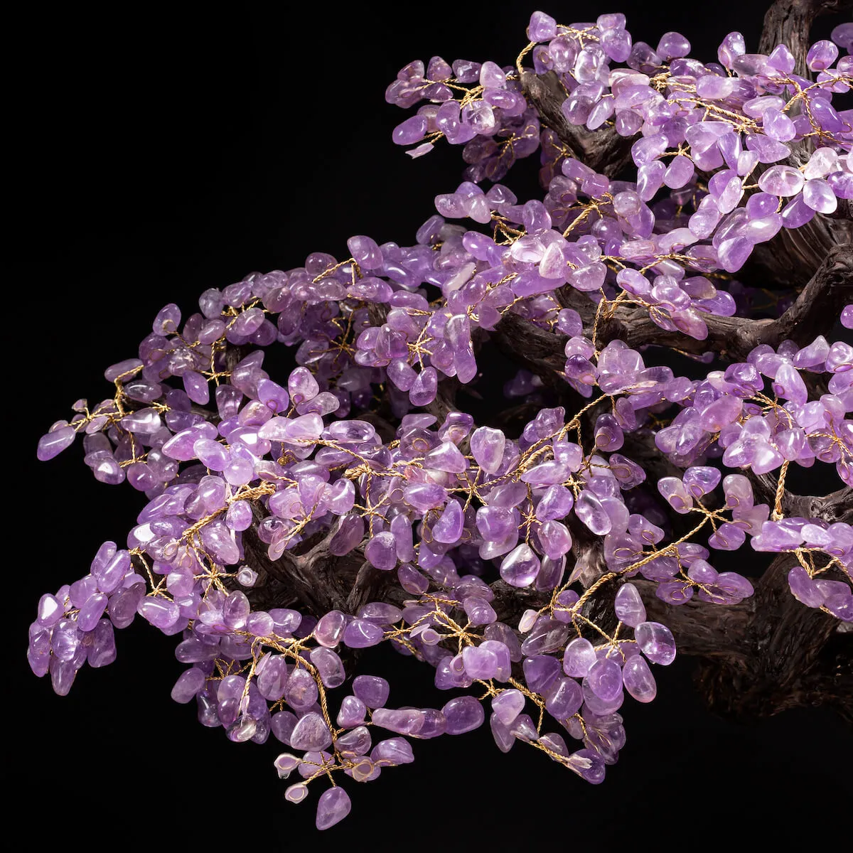 Albero Bonsai Ametista