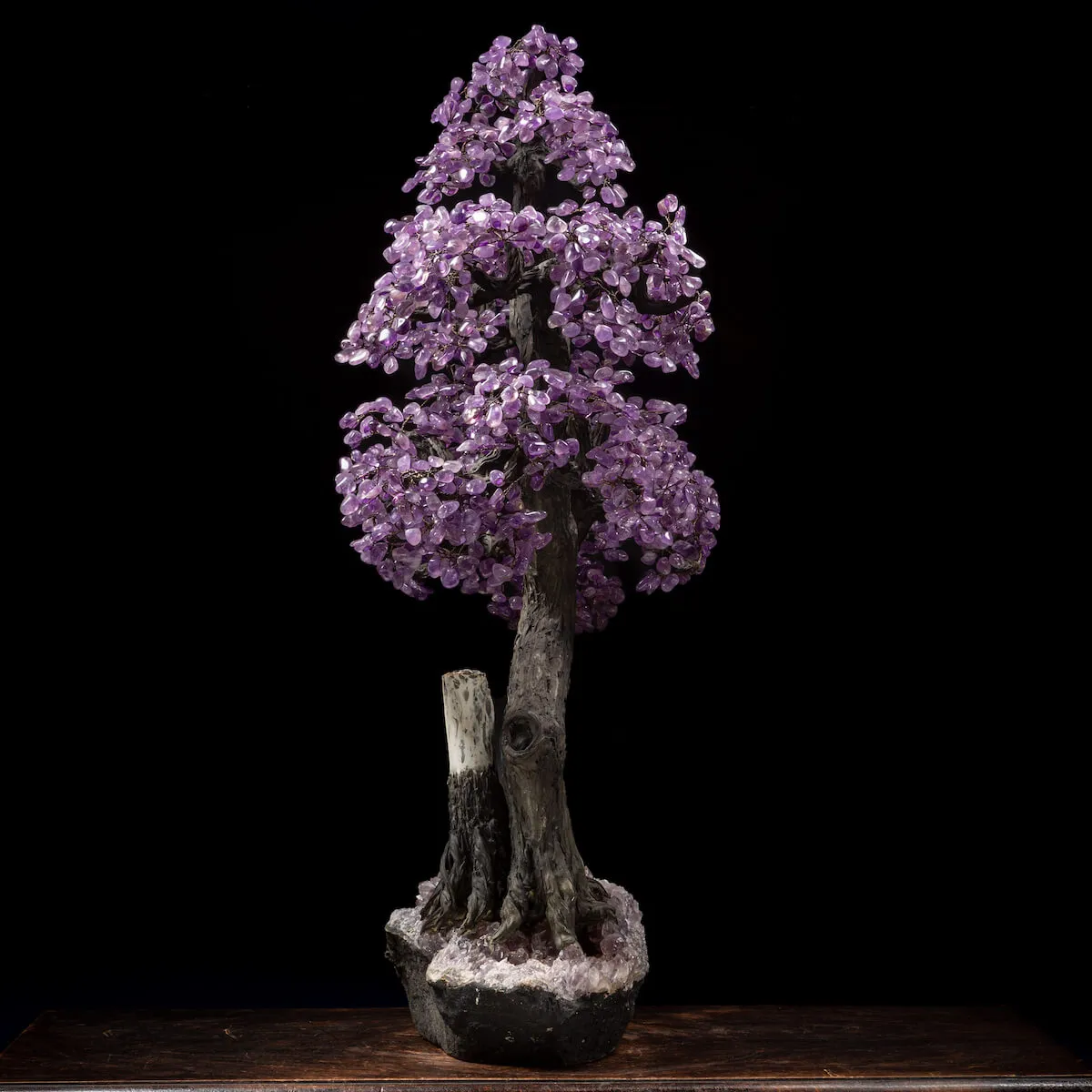 Albero Bonsai Ametista