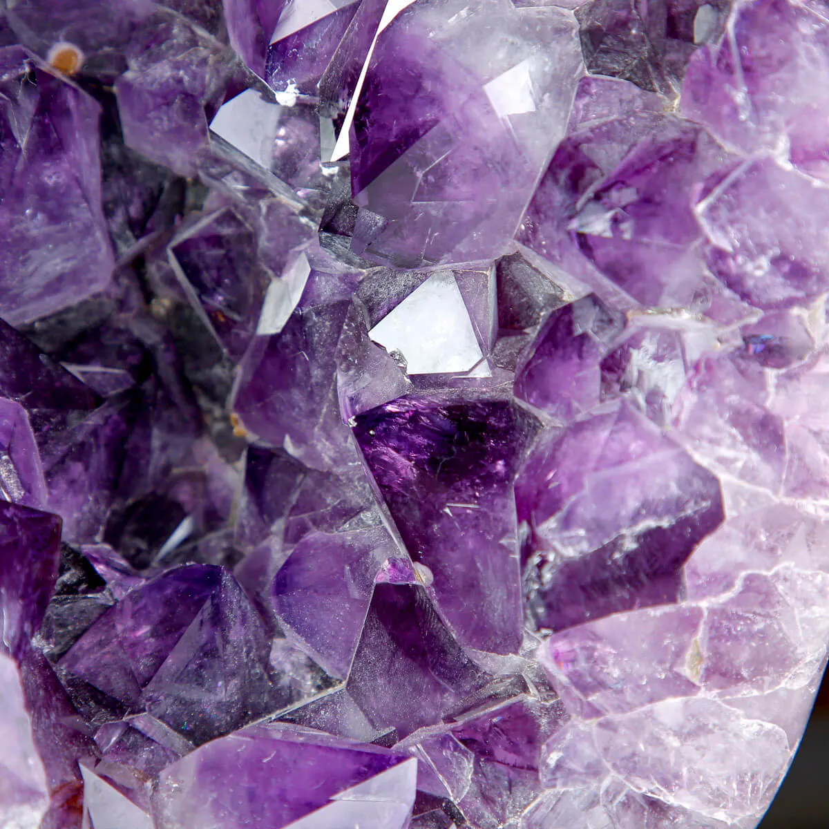 Drusa di Ametista  – Cristalli viola intenso.