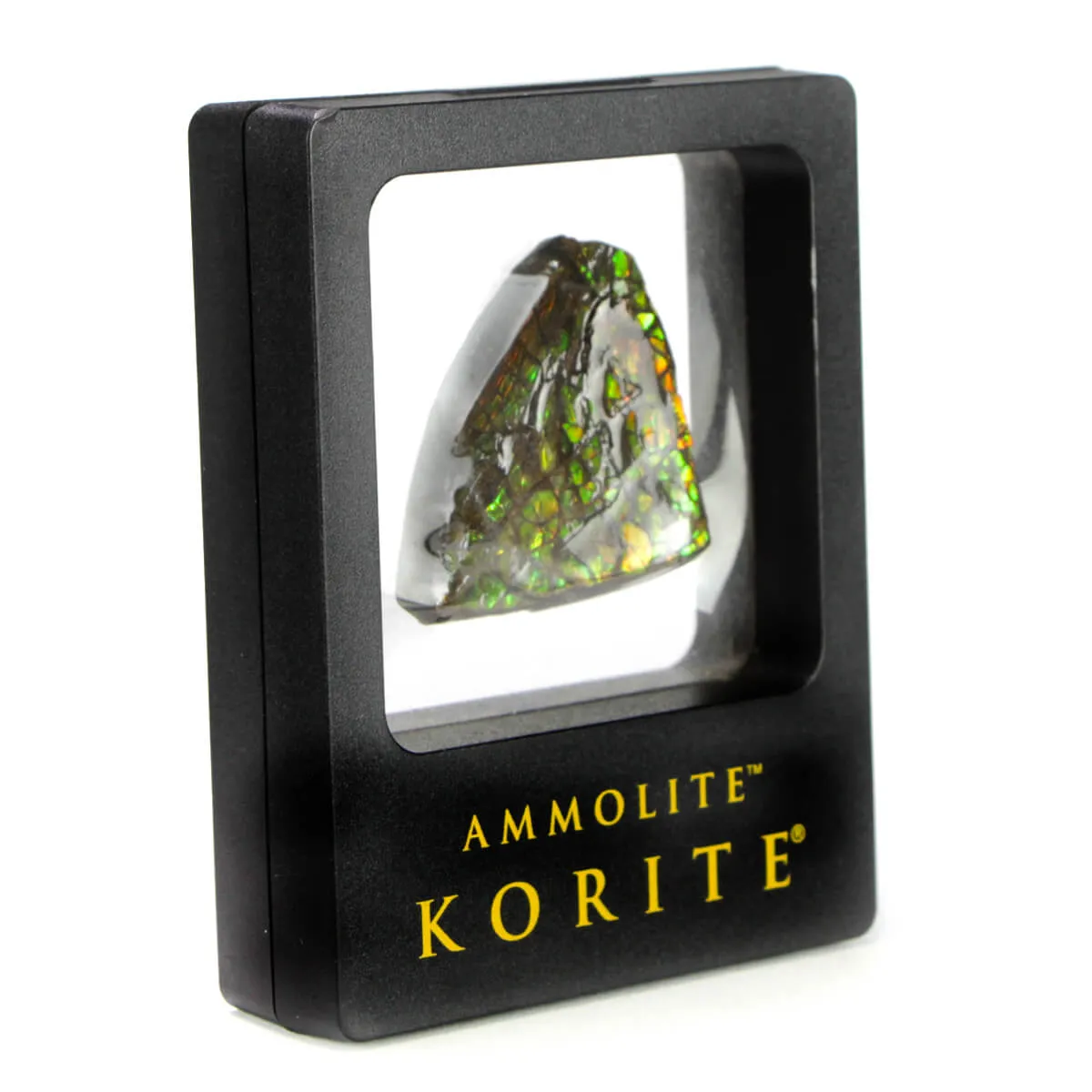 Ammolite