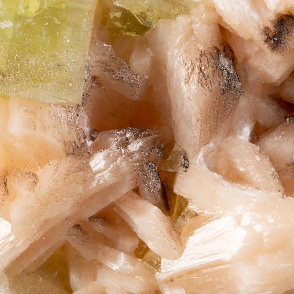 Apofillite e Stilbite